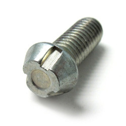 Anti-theft Bolts