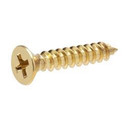 Brass Screws