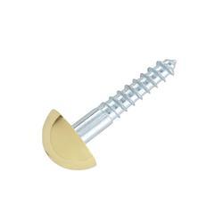 Brass Mirror Screw