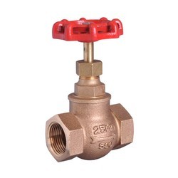 Bronze Globe Valve