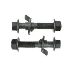 Camber Bolt