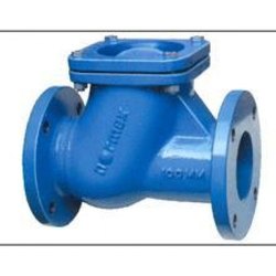 Cast Iron Check Valve