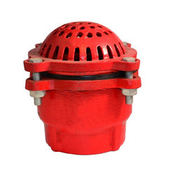 Cast Iron Foot Valve