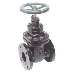 Cast Steel Gate Valve