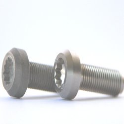 Corrosion Resistant Bolts