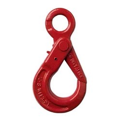 Locking Hook