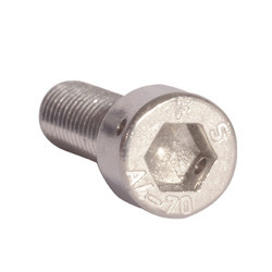 Locking Screws