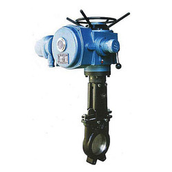 Motorized Gate Valve