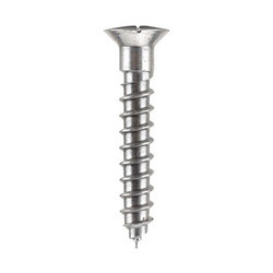 Oval Head Screw