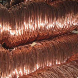 Phosphor Bronze Coil