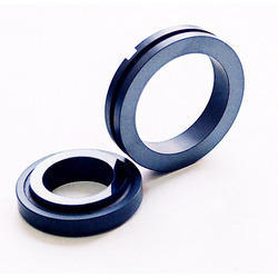 Silicon Carbide Seals