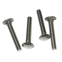 Stainless Steel Carriage Bolt