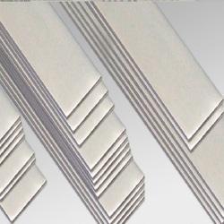 Stainless Steel Flats