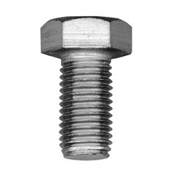 Stainless Steel Hex Head Screw