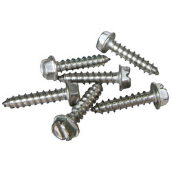 Stainless Steel Screw