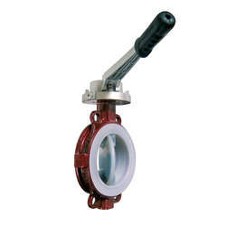 Teflon Lined Butterfly Valves