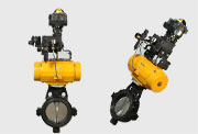 Auto Self Closing Gate Valve