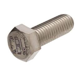 Stainless Steel Hex Bolt