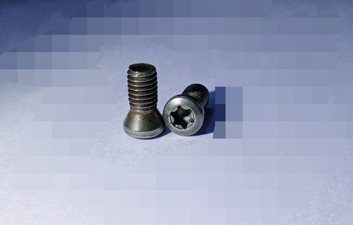 Torx Screw all types