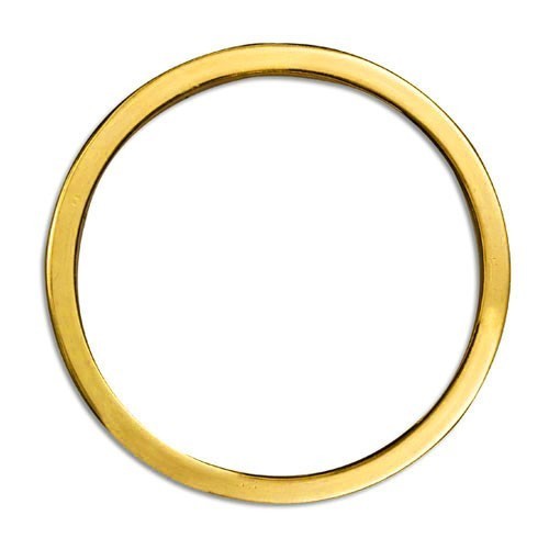 Metal O Ring