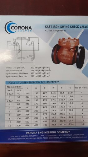 Cast Iron Swing Check Valve, Packaging Type: Box, Size: 25 To 300 Mm