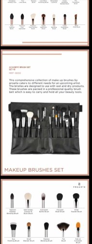 Plastic Black Pro Arte Academy Brush Kit 18 In 1