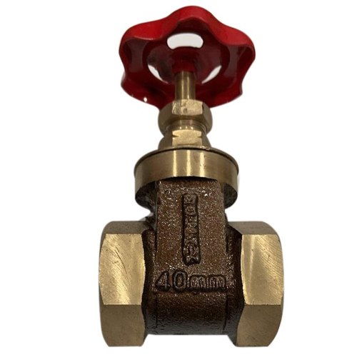 Threaded 40 mm Dolphin Gate Valve