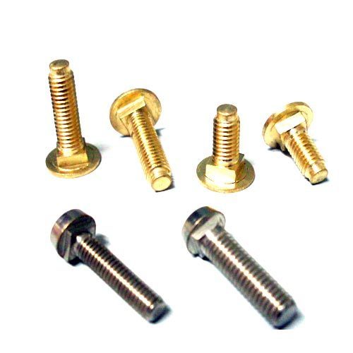 Oracle International Round Nut Screw