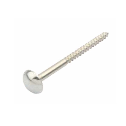 Chrome Brass Mirror Screw, Packaging Type: Groos(144 Pcs)