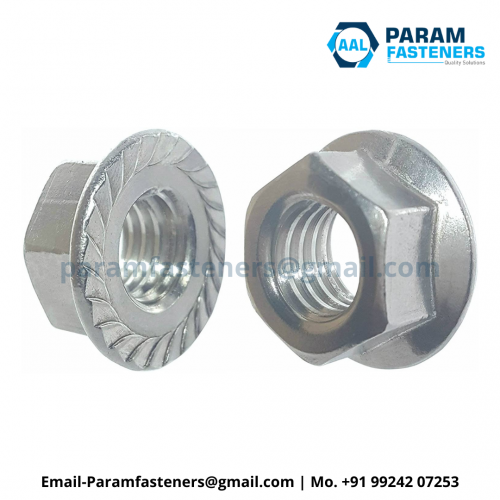 Stainless Steel Flange Nuts