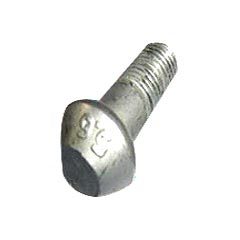 Shear Bolt