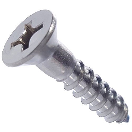 Stainless Steel AISI SMO 254 Coach Screw