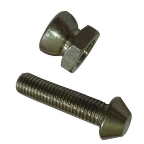 Stainless Steel Anti Theft Nut Bolt
