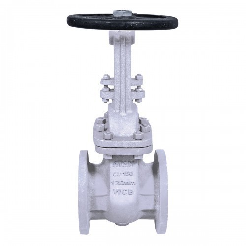 Audco Stainless Steel Class-150 C.S. Gate Valve