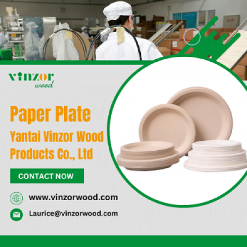 Paper Plate | Yantai Vinzor Wood Products Co., Ltd