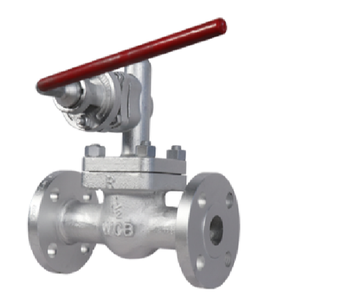 Blow Down Valve