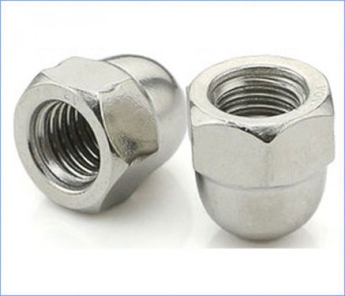 Stainless Steel Dome Nuts