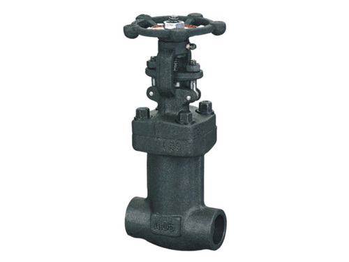 SVR Bellow Gate valve