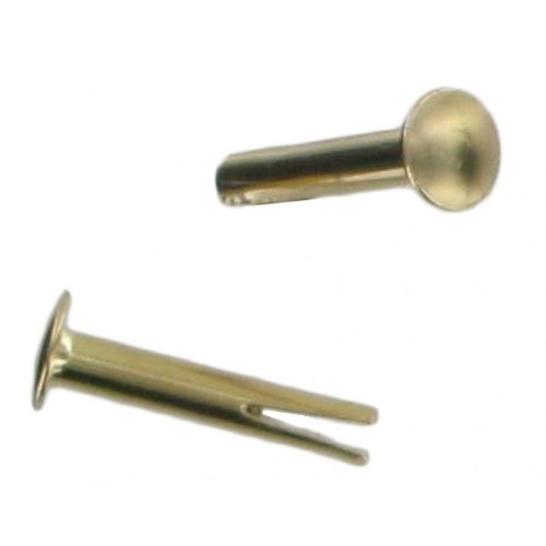 Stainless Steel SS Bifurcated Rivet, Size: 12 Mm