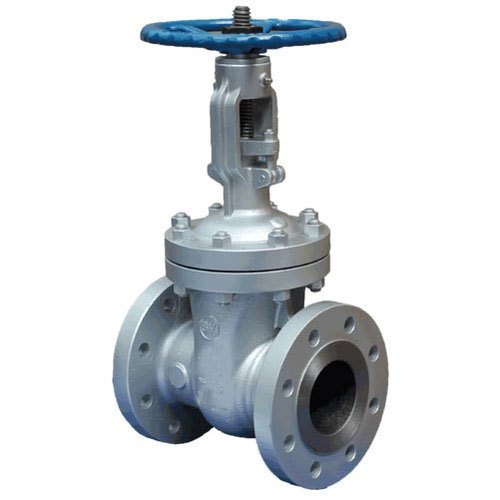 2-1/2 Boiler Mounting Gate Valve