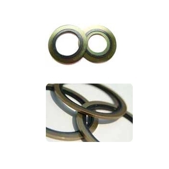 Hiflon Bonded Oil Seals