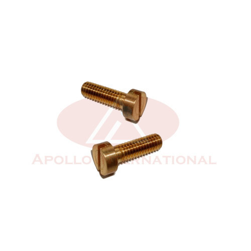 Brass Cheese Head Slotted Screw