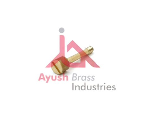 ayush brass Silver Brass Ceiling Screw