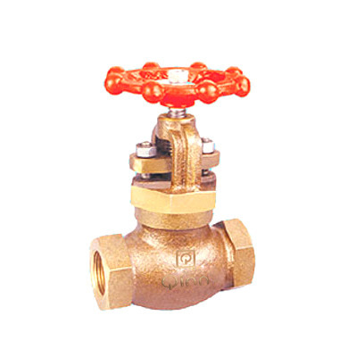 Bronze Controllable Feed Check Valve