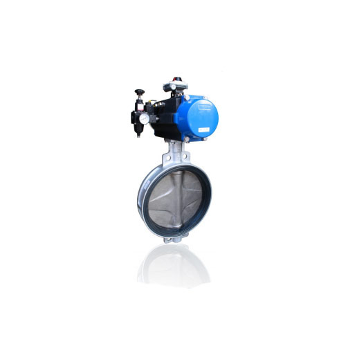 Butterfly Valve - Sleeved Design