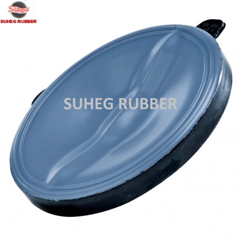 Butterfly Valves Seal