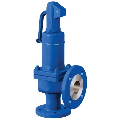 Novel Carbon Steel Safety Valve