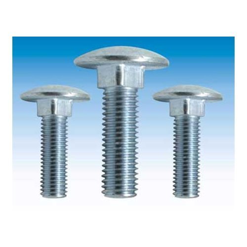 SS Carriage Bolt