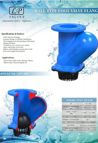 Blue CAST IRON BALL TYPE FOOT VALVE ( FANGED END )