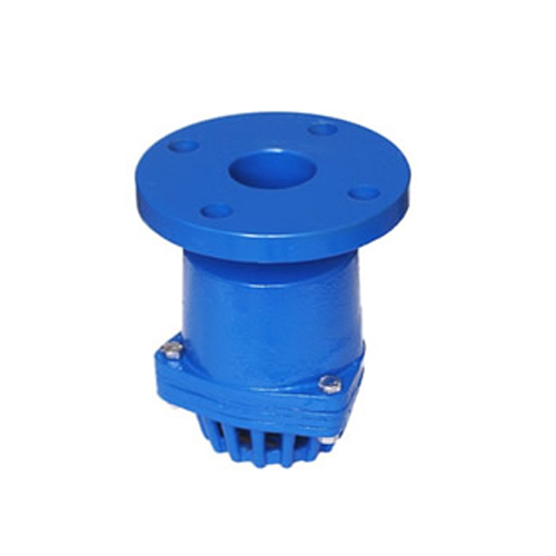 Kartar Cast Iron Foot Valve